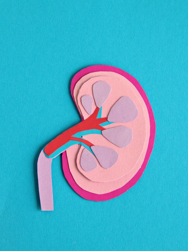 Ways to prevent kidney disease