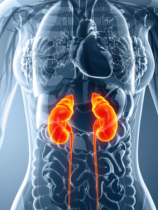 Boost Kidney Function 7 Foods To Improve Renal Health