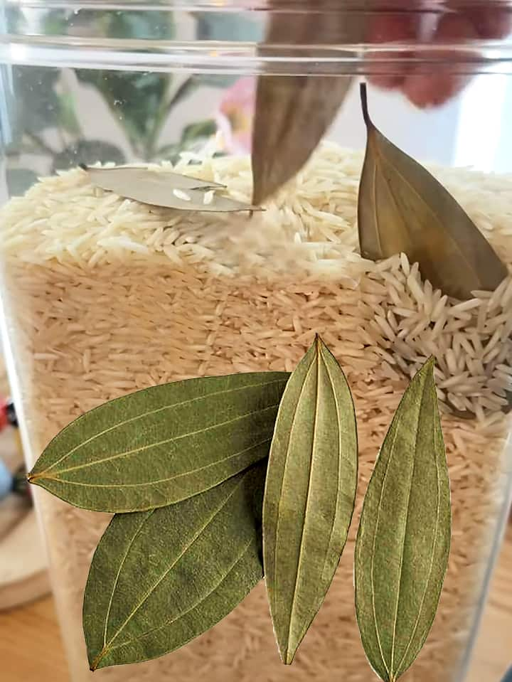 Benefits of keeping bay leaves with stored rice pulse flours