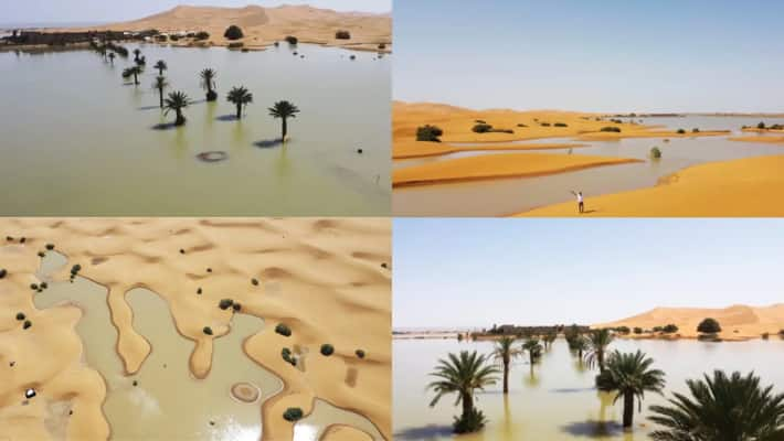 Sahara desert floods and heavy soaks. What does this indicate?-rag