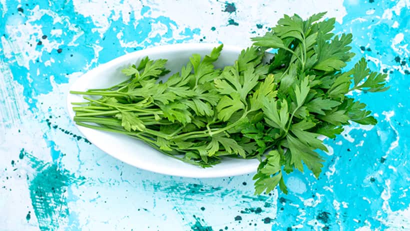 how-to-clean-coriander