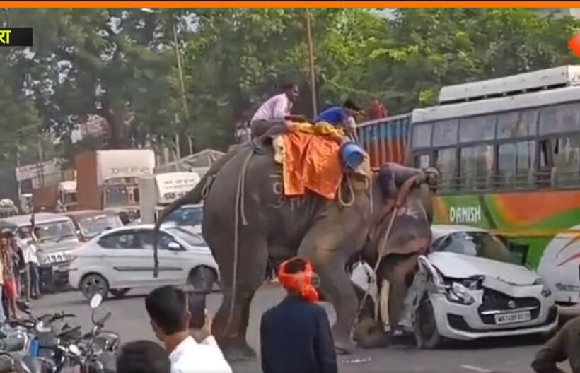 Bihar: Elephant goes on rampage, flips & batters car, bus as crowd watches in panic; WATCH viral video