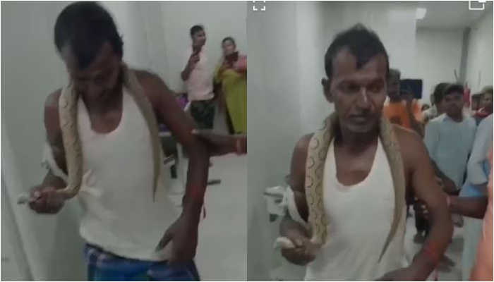 A youth bitten by a snake in Bihar is in hospital with the bitten snake