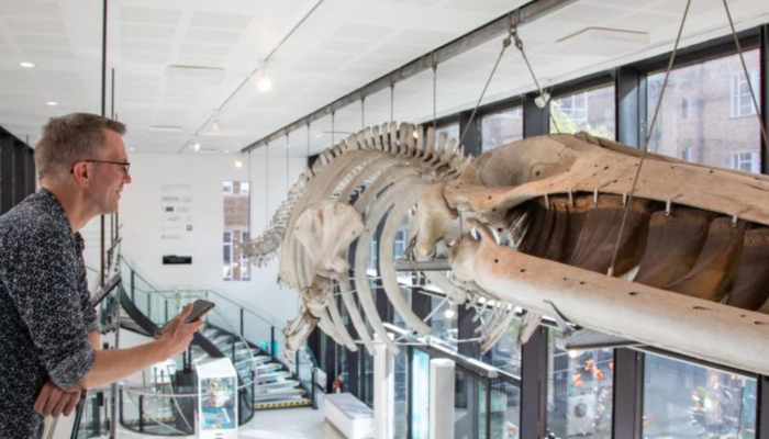 Public invited to chat to museum animals in novel AI experiment at Cambridge museum  