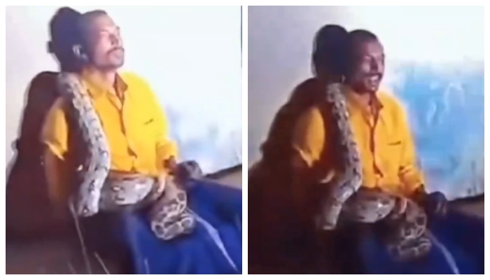 Video of python coiled around drunk man in Andhra Pradesh goes viral in social media