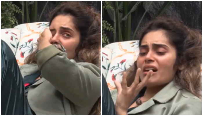 Bigg Boss 18: "Teen Din Se Potty Bhi Nahi...": Shrutika Arjun breaks down over food shortage NTI