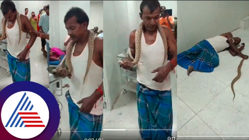 Bihar Man Arrives at Hospital with Snake in Hand