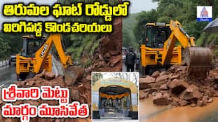 Rockfall on Tirumala Ghat Road Leads to Closure of Srivari Steps