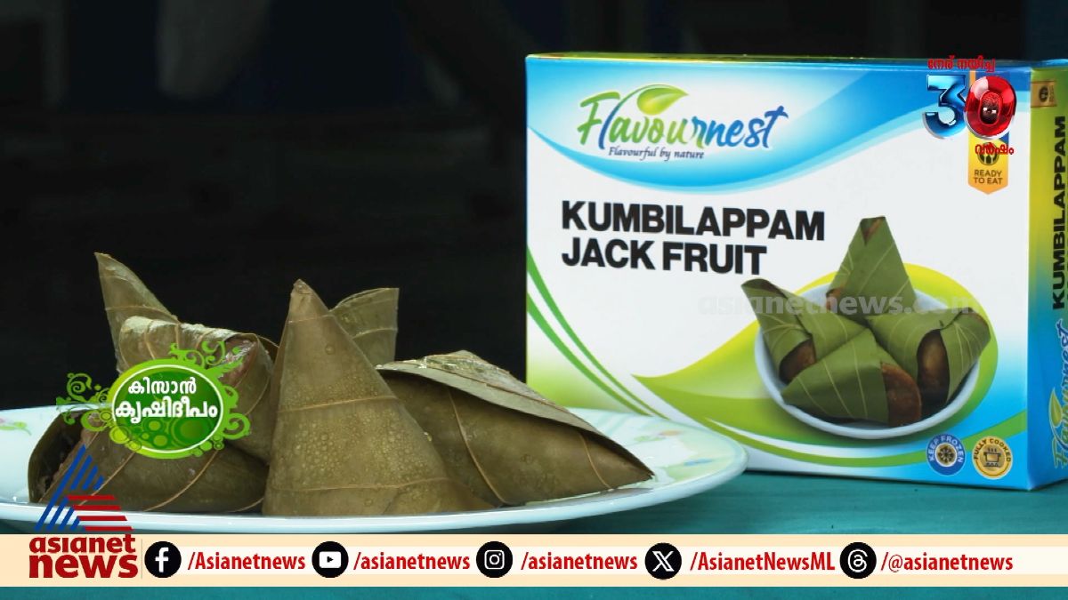 വിദേശ രാജ്യങ്ങളിൽ ഭക്ഷണത്തിന്റെ ഗൃഹാതുരത്വമുണർത്തി വിജയം കൊയ്‌ത്  'ഫ്ളേവർ നെസ്റ്റ്' 