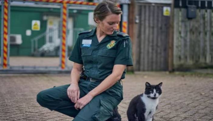 Defib cat living in Walthamstow ambulance station for 16 years in eviction danger now 