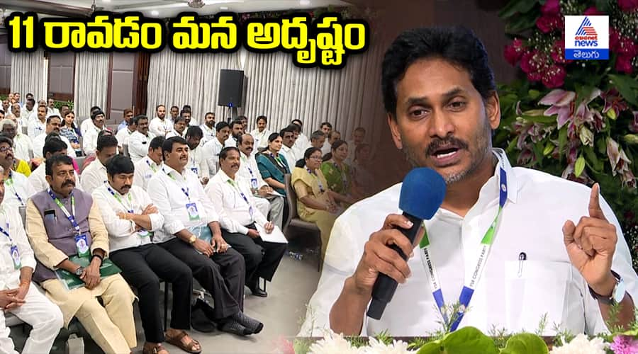 YS Jagan Coments About 11 Seats