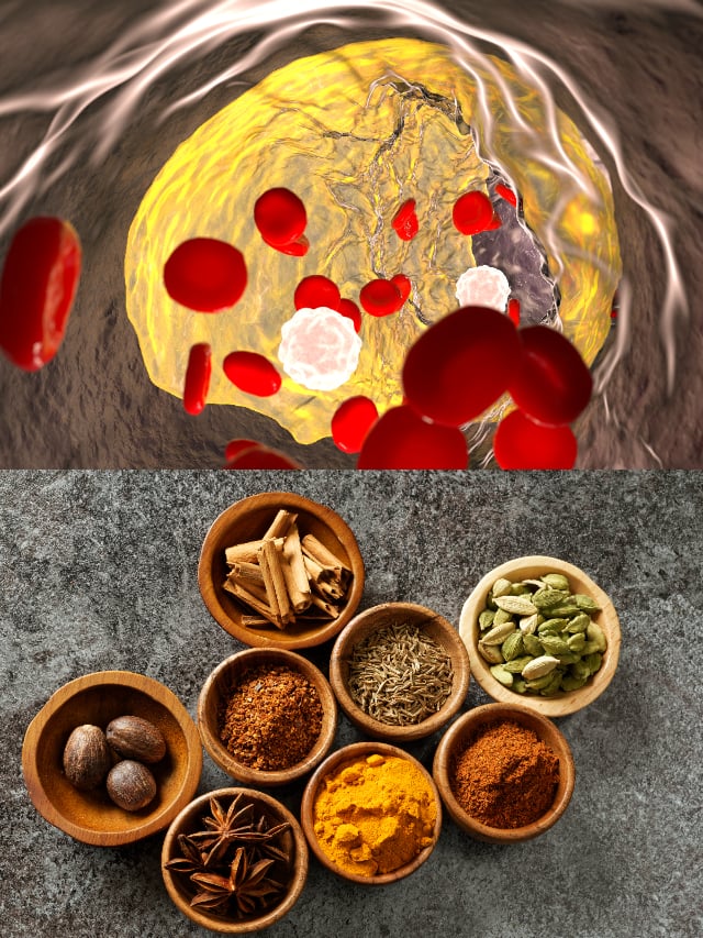 spices that help lower cholesterol levels naturally