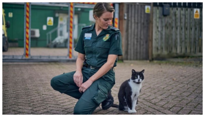 Stayed in the ambulance station for 16 years finally cat is threatened with eviction 