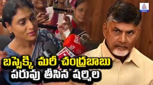 ys sharmila fire on  chandrababu naidu 