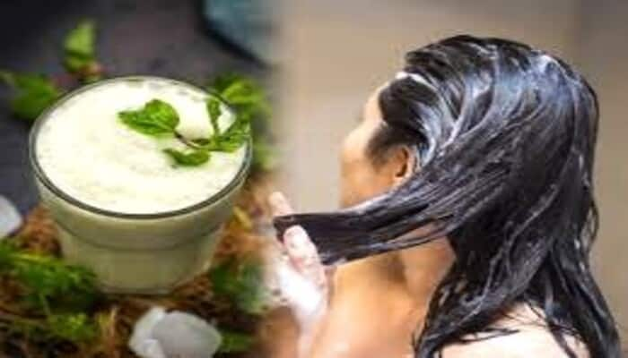 how buttermilk helps to grow hair in tamil mks