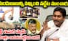 YS Jagan Pressmeet Fire on AP CM Chandrababu Naidu