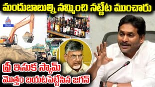 YS Jagan Pressmeet Fire on AP CM Chandrababu Naidu