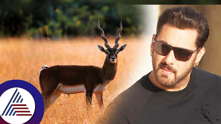 Salman Khan once talked about Blackbuck incident during 'Hum Saath Saath Hain' shoot NTI