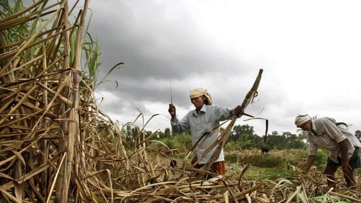 Tamil Nadu government has given Rs. 247 crore as incentives to sugarcane farmers tvk