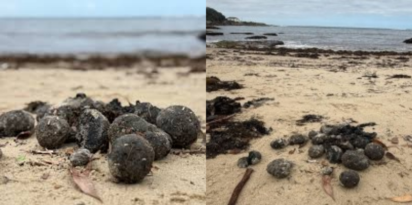 strange  ball mystery cleaned beaches reopened Sydney 