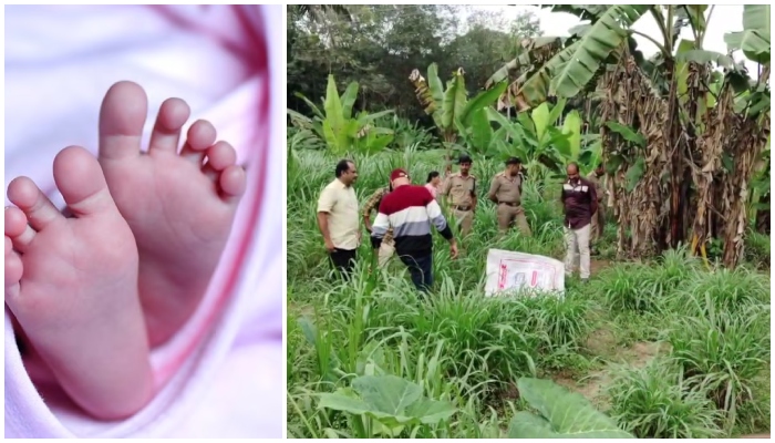 body of the newborn infant found buried in the backyard 