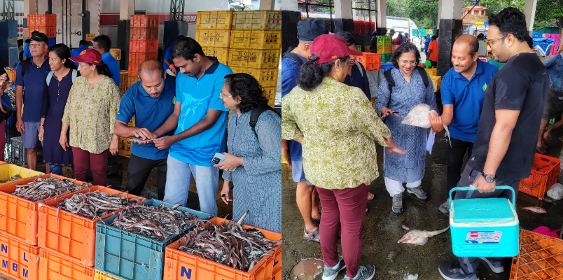 Fish Walk For Fish Lovers Conducted by Central Marine Fisheries Research Institute