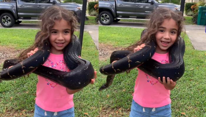 shocking video girl hoists massive snake on her shoulders social media reacts 