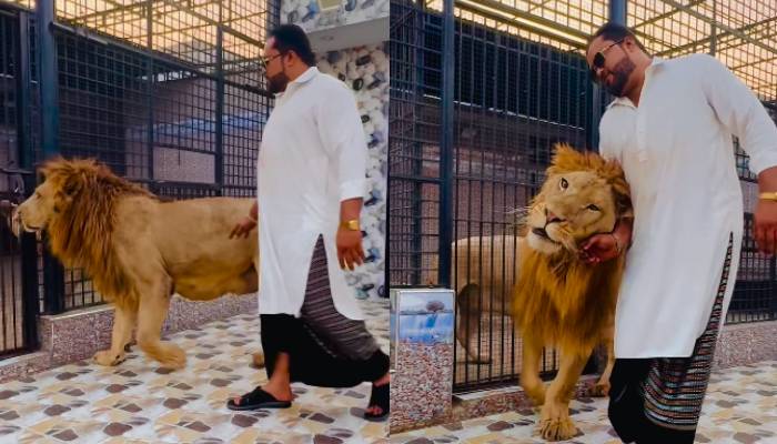 man opening lions jaws video sparks outrage in social media 