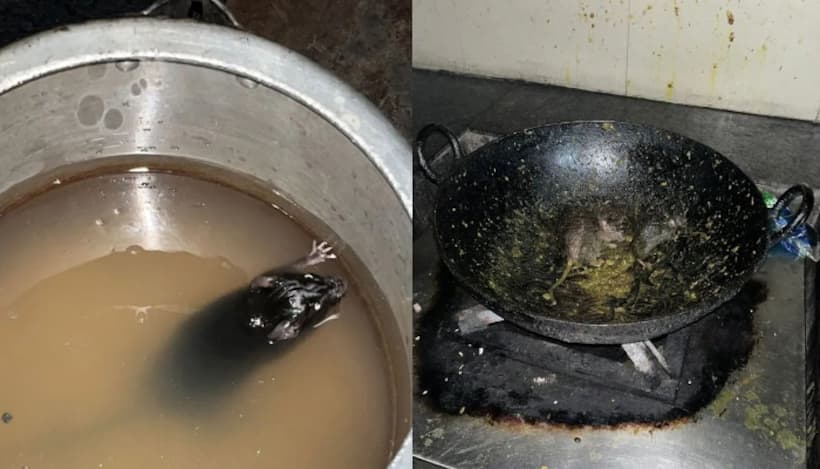 SHOCKING! Rats found running in hostel kitchen at IIT Roorkee; probe begins [WATCH]