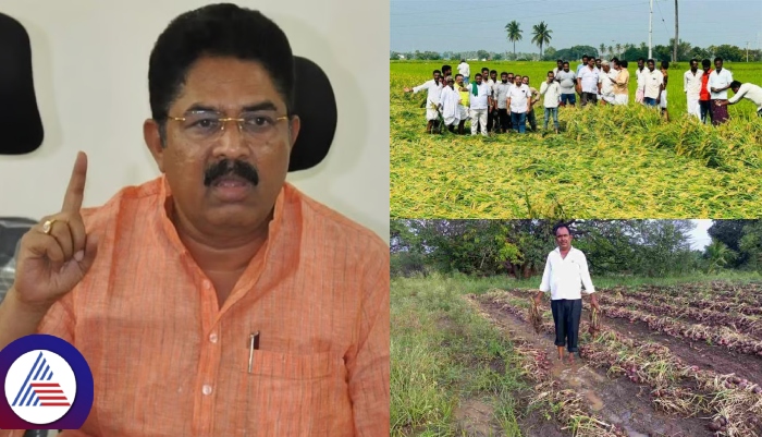 Karnataka untimely rain farmers Crop loss Ashok lashed out Against Agriculture Minister sat