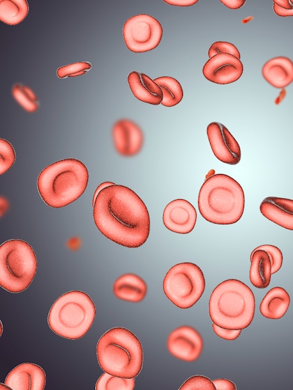 Boost iron levels: Top foods to fight deficiency