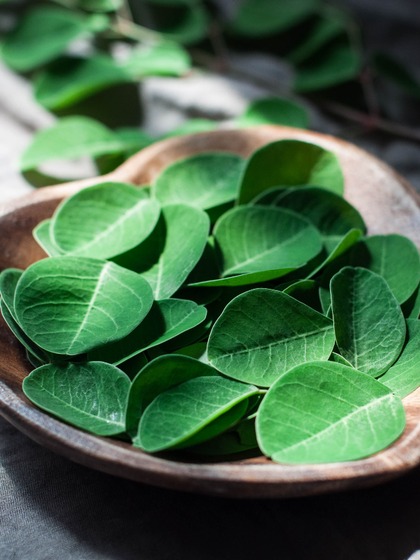 Drumstick leaves
