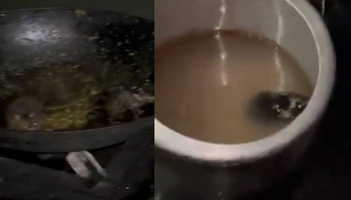 rats roaming in kitchen in IIT Roorkee shocking video 