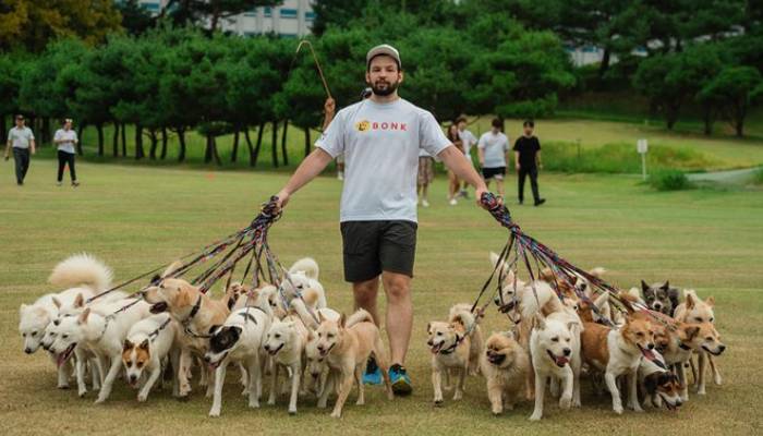 man walks 38 dogs at once earn Guinness World Records