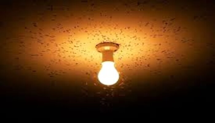 Say goodbye to bugs Effective solutions for insectfree light bulbs
