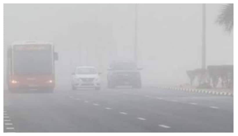 North India WEATHER update: IMD issues cold wave alert, dense fog predicted till January 4, 2025