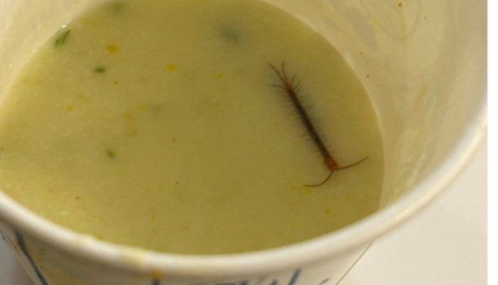 centipede found in the food supplied inside VIP lounge and passenger shared image 