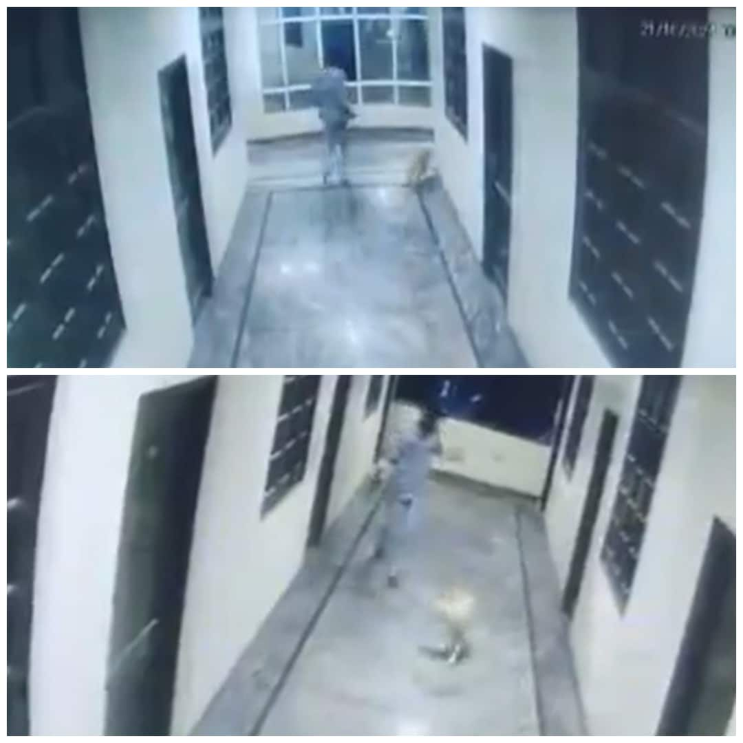 SHOCKING! Hyderabad man dies after he falls from hotel's 3rd floor while chasing a dog (WATCH) shk