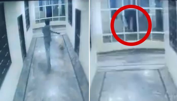 SHOCKING! Hyderabad man dies after he falls from hotel's 3rd floor while chasing a dog (WATCH) shk