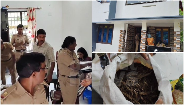 20 kg ganja seized from house  husband escaped and wife in custody