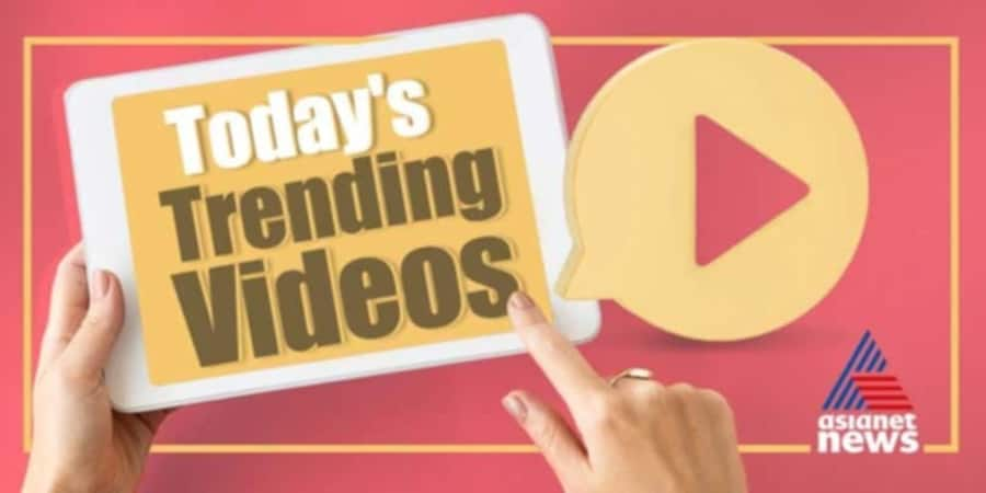 Top Trending Latest and Viral Videos October 24