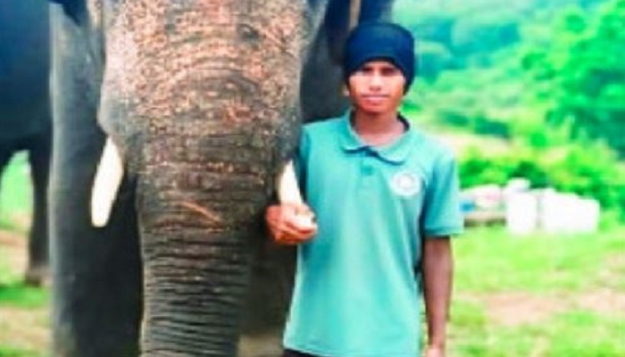 20 Years Old Young Man Dies who was sitting on elephant at Bannerghatta National Park in Bengaluru grg 