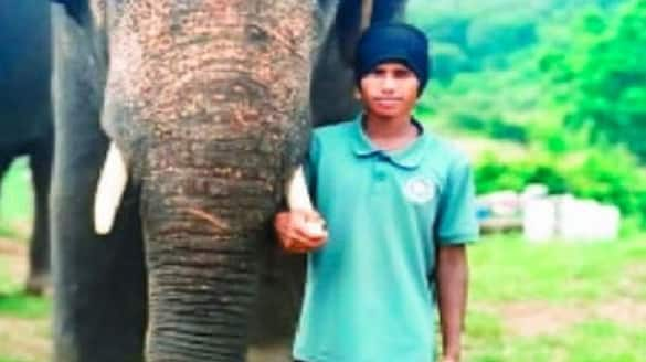 20 Years Old Young Man Dies who was sitting on elephant at Bannerghatta National Park in Bengaluru grg 