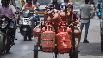 LPG Cylinder Usage Limit: How Many Gas Cylinders Can You Use in a Year? Read details