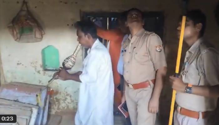 snake bites five people three died up village authorities call snake charmers