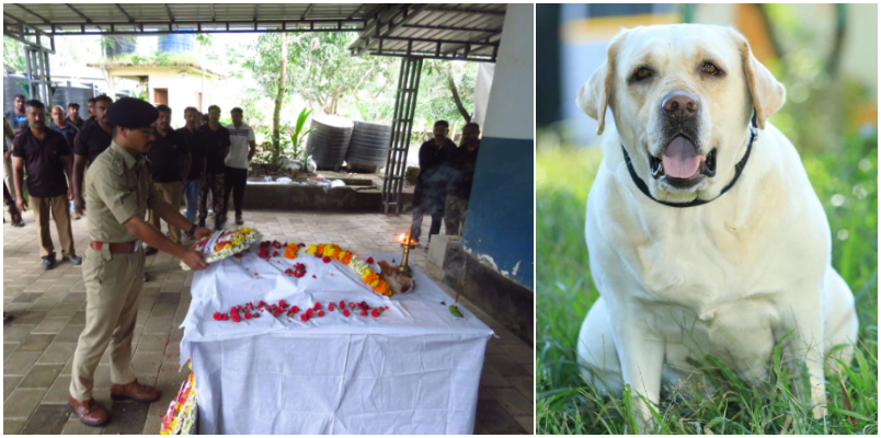 Ammu the police dog that found clues to the Kerala Police in the most recent cases has died