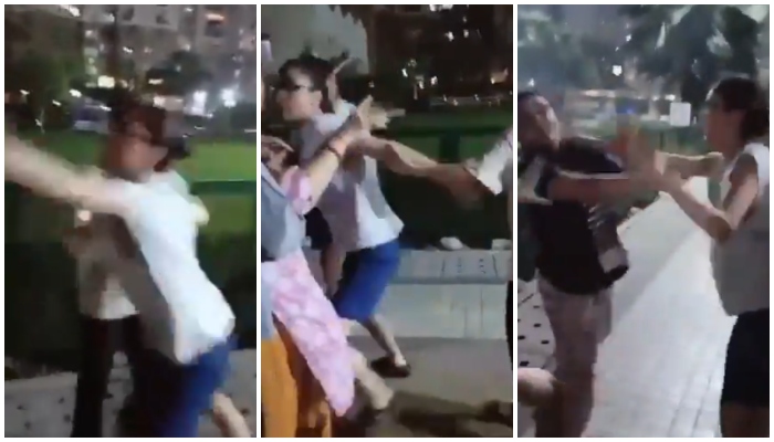 Woman thrashes elderly couple for asking them to tie belt around dog's neck, social media demands action