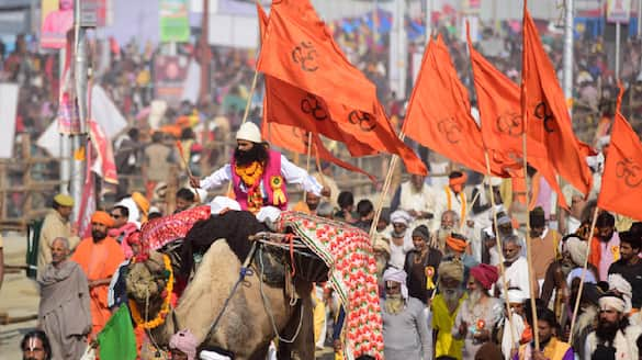 Prayagraj Mahakumbh 2025 Designated as Zero Animal Zone AKP