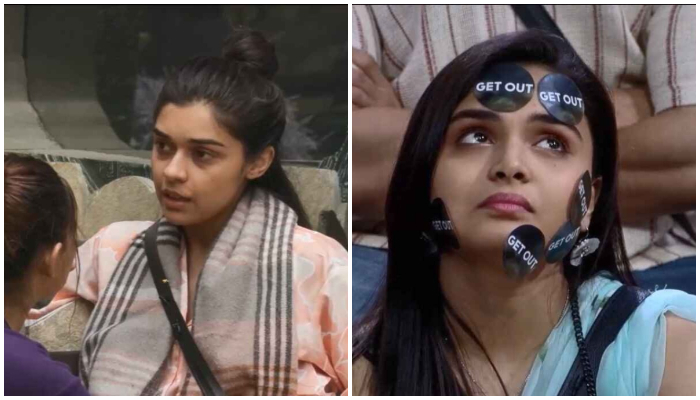 Bigg Boss 18: Muskan Bamne evicted; Eisha Singh fires back at Karan Veer's comment linking her with Avinash ATG