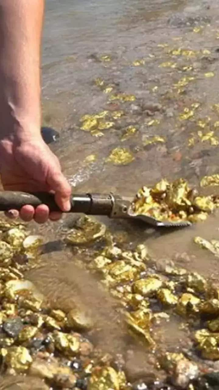 Gold Rich Rivers Amazon Missouri Yuba Son Gold Panning anr